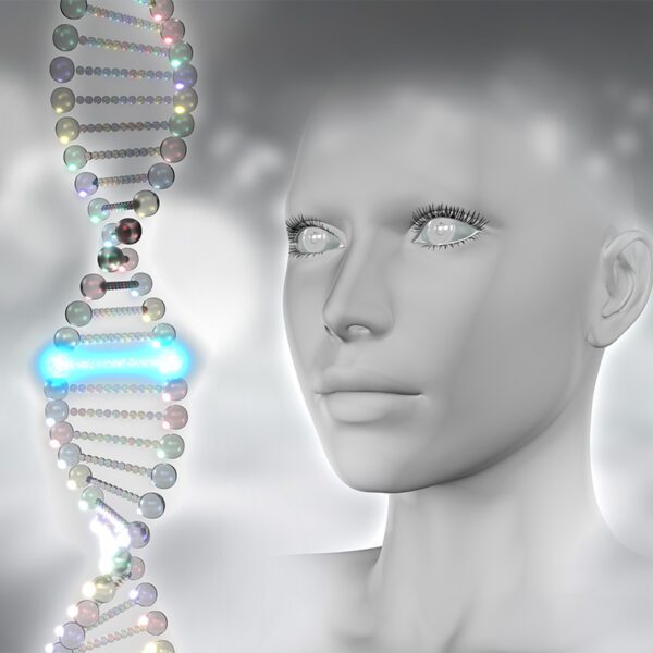 Ancestry Dna Test